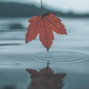 王馨瑶奶头走光露两点
