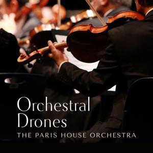 王馨瑶奶头走光露两点
